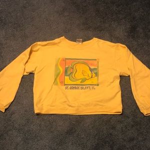Vintage cropped crew neck